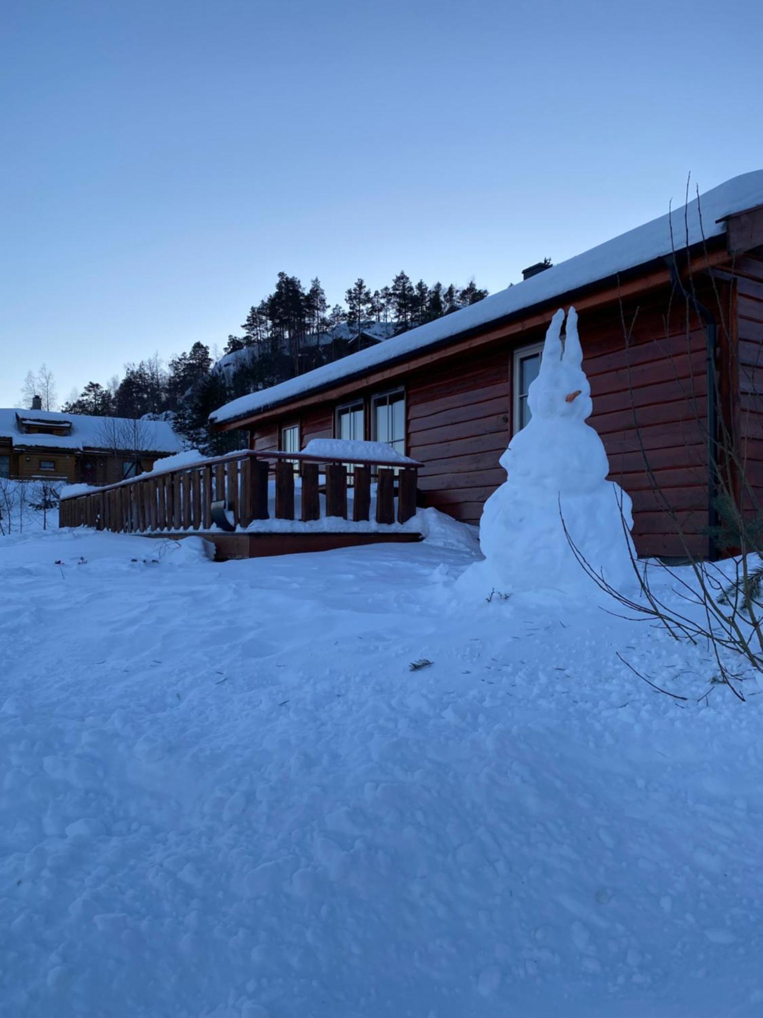 Вілла Hygge Pa Fjellet Oyuvstad Екстер'єр фото