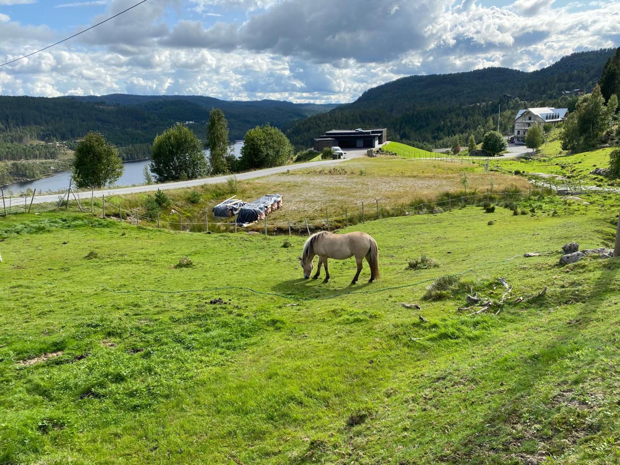 Вілла Hygge Pa Fjellet Oyuvstad Екстер'єр фото